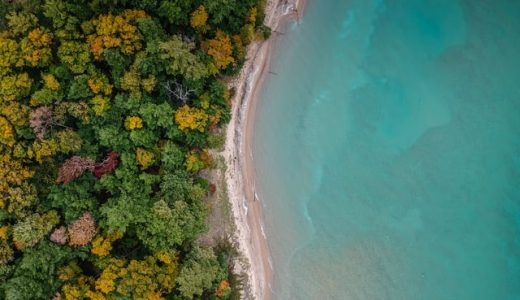 アルファリゾートの評判の真偽はいかに！？ネット上の口コミも