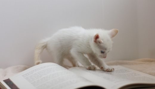 学習塾開業のために必要な資格や資金とは？